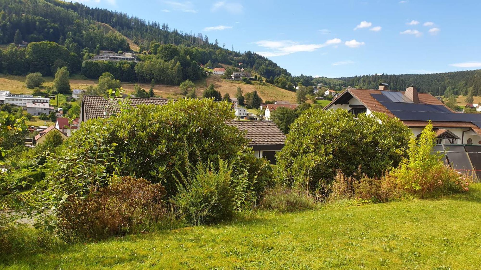 Green Hills Holiday House Warmensteinach Exteriör bild